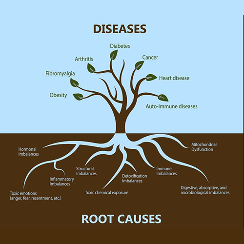 Disease and Root Causes - Functional Medicine