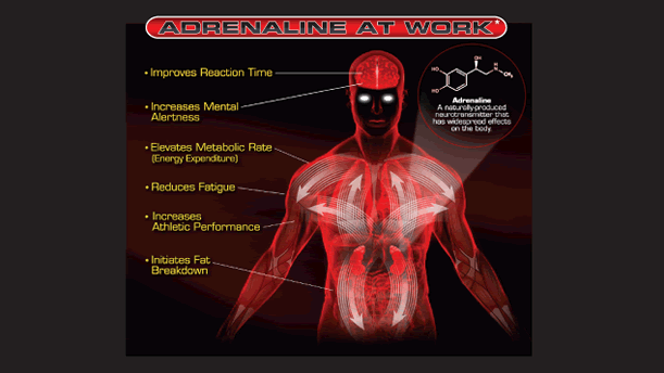 Hypoglycemia - Asheville Functional Medicine
