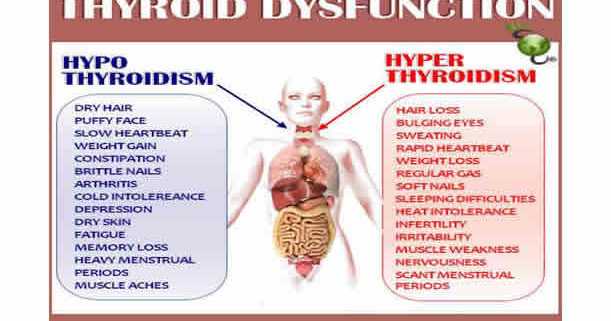 Thyroid Conditions - Asheville Functional Medicine