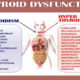 Thyroid Conditions - Asheville Functional Medicine
